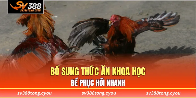 Bổ sung thức ăn khoa học để phục hồi nhanh