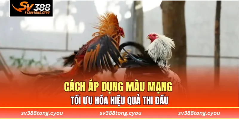 Cách áp dụng màu mạng tối ưu hóa hiệu quả thi đấu