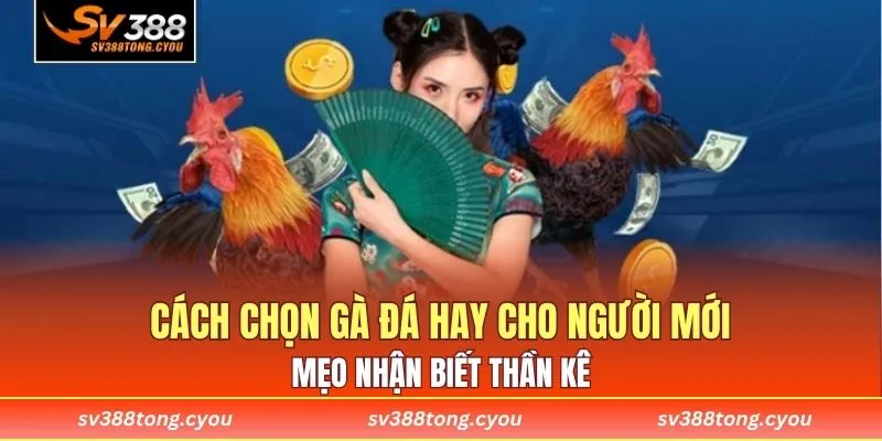 Cách Chọn Gà Đá Hay Cho Người Mới - Mẹo Nhận Biết Thần Kê