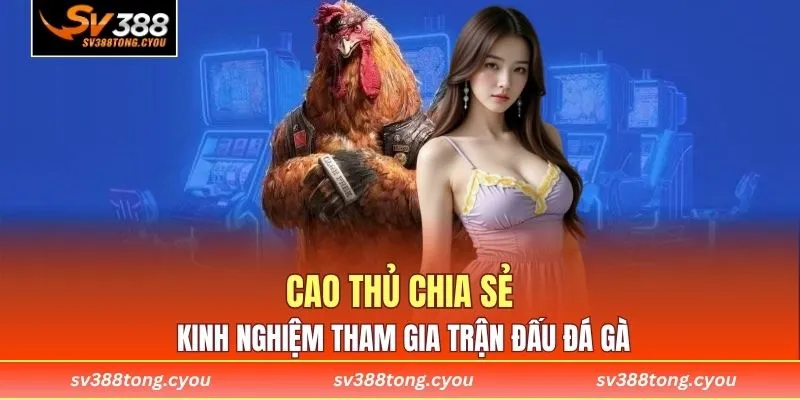 Cao thủ chia sẻ kinh nghiệm tham gia trận đấu đá gà