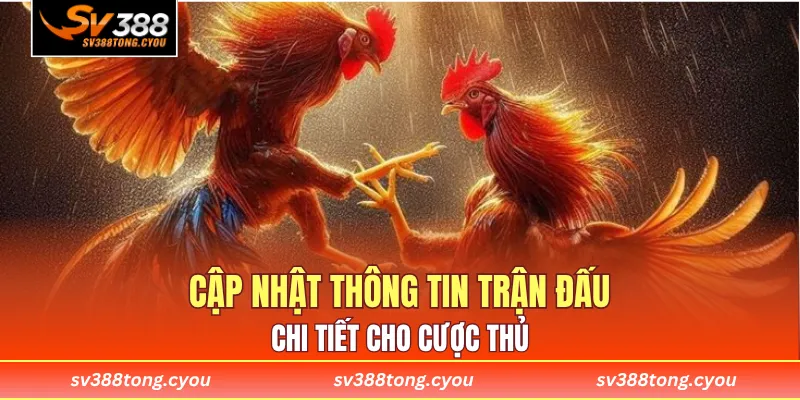 Cập nhật thông tin trận đấu chi tiết cho cược thủ