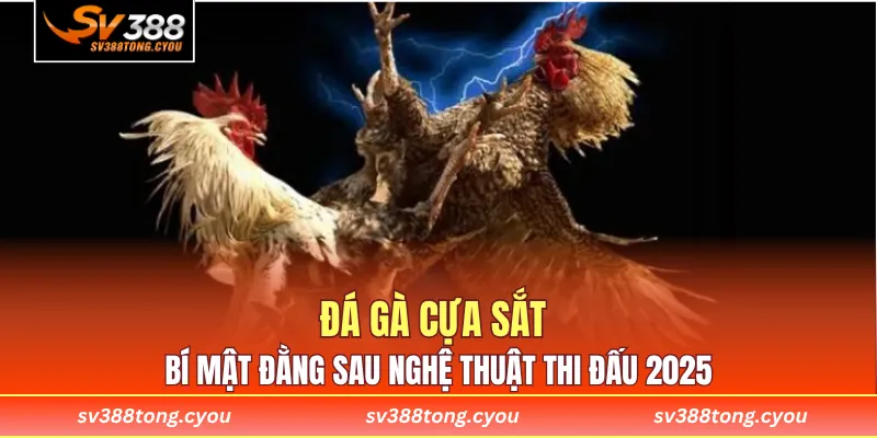 Đá Gà Cựa Sắt - Bí Mật Đằng Sau Nghệ Thuật Thi Đấu 2025
