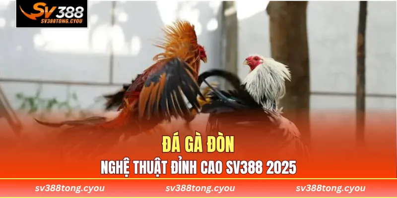 Đá Gà Đòn Truyền Thống - Nghệ Thuật Đỉnh Cao SV388 2025