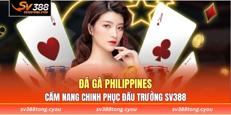 Đá Gà Philippines - Cẩm Nang Chinh Phục Đấu Trường SV388