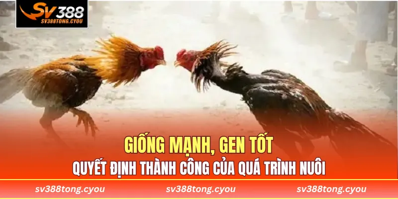 Giống mạnh, gen tốt quyết định thành công của quá trình nuôi