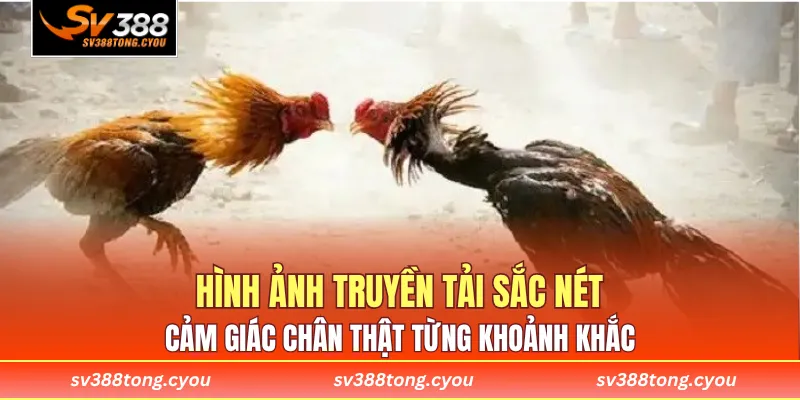 Hình ảnh truyền tải sắc nét, cảm giác chân thật từng khoảnh khắc.