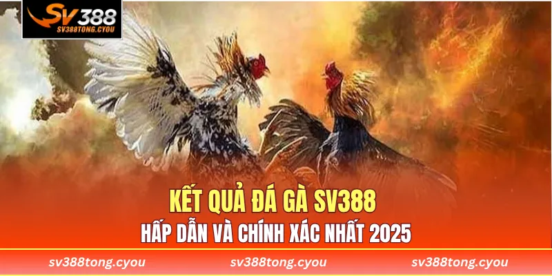Kết Quả Đá Gà SV388 Hấp Dẫn Và Chính Xác Nhất 2025