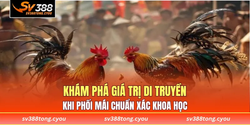 Khám phá giá trị di truyền khi phối mái chuẩn xác khoa học