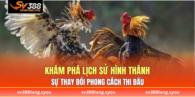 Khám phá lịch sử hình thành và sự thay đổi phong cách thi đấu
