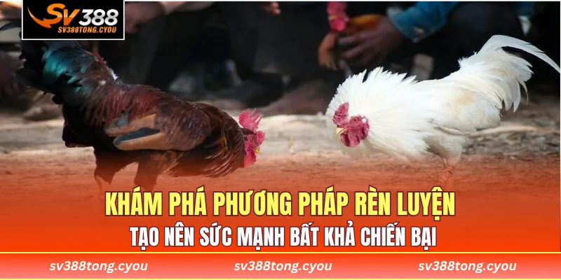 Khám phá phương pháp rèn luyện tạo nên sức mạnh bất khả chiến bại