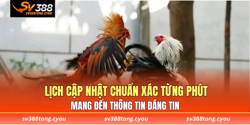  Lịch cập nhật chuẩn xác từng phút, mang đến thông tin đáng tin