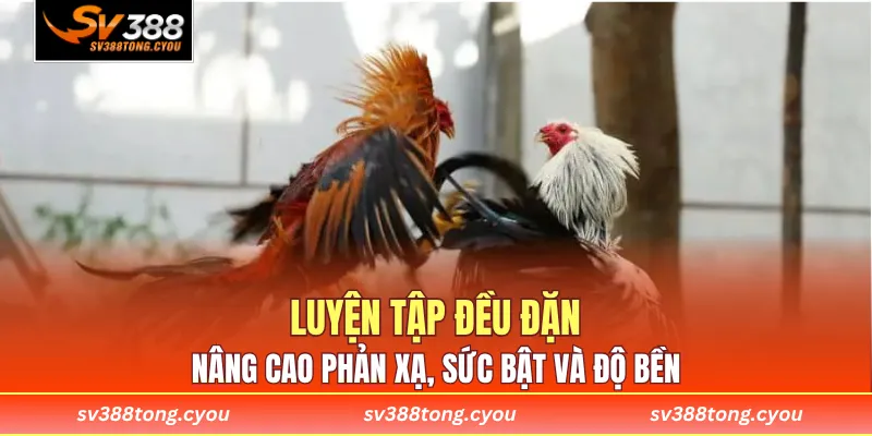 Luyện tập đều đặn nâng cao phản xạ, sức bật và độ bền