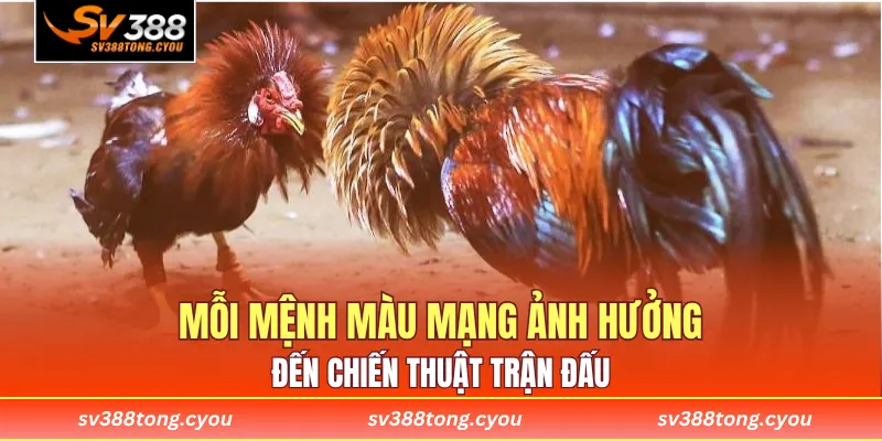 Mỗi mệnh màu mạng ảnh hưởng đến chiến thuật trận đấu