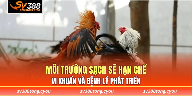 Môi trường sạch sẽ hạn chế vi khuẩn và bệnh lý phát triển