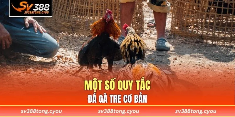 Một số quy tắc đá gà tre cơ bản