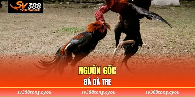 Nguồn gốc đá gà tre
