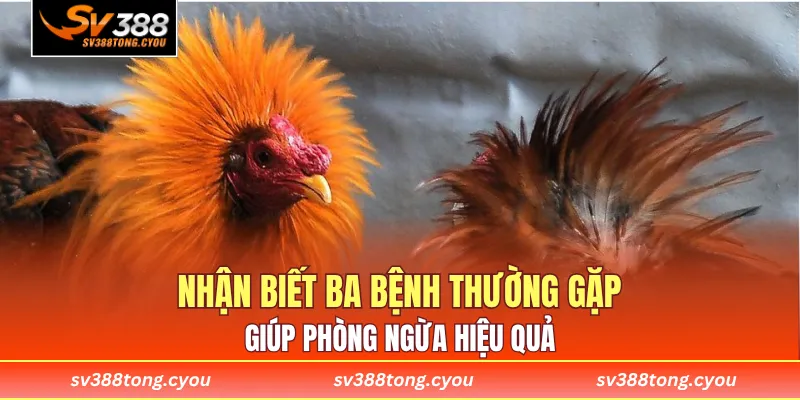 Nhận biết ba bệnh thường gặp giúp phòng ngừa hiệu quả