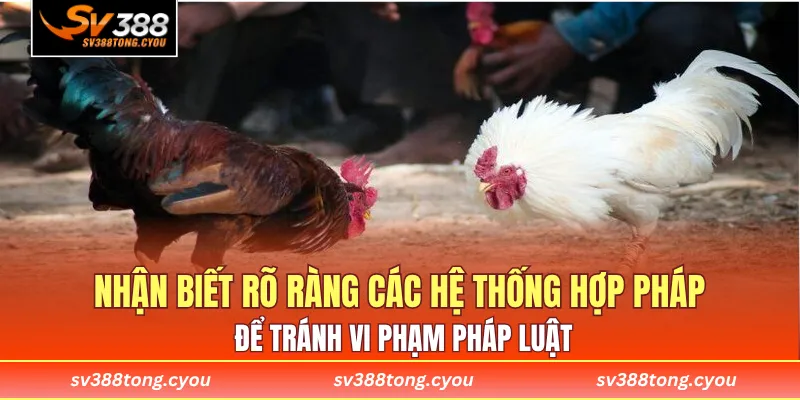 Nhận biết rõ ràng các hệ thống hợp pháp để tránh vi phạm pháp luật