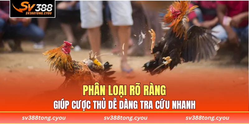 Phân loại rõ ràng giúp cược thủ dễ dàng tra cứu nhanh