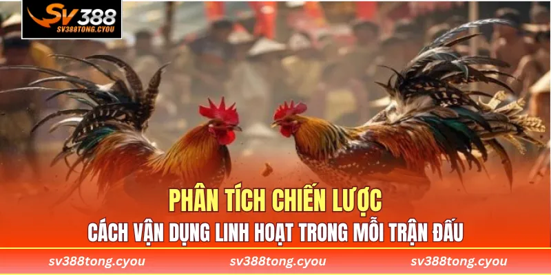 Phân tích chiến lược, cách vận dụng linh hoạt trong mỗi trận đấu