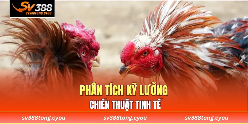 Phân tích kỹ lưỡng chiến thuật tinh tế