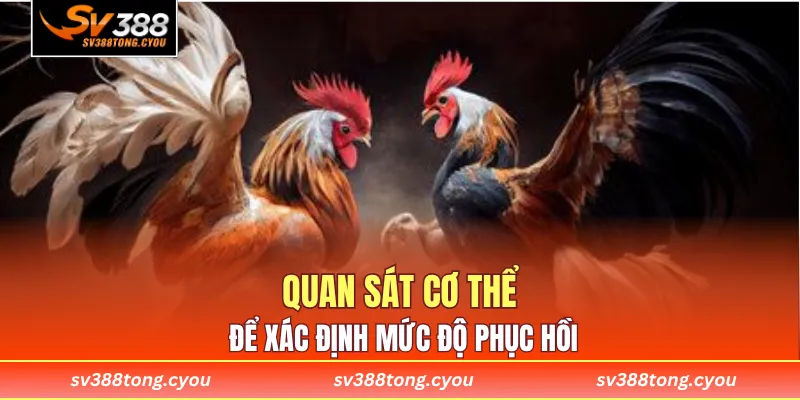 Quan sát cơ thể để xác định mức độ phục hồi