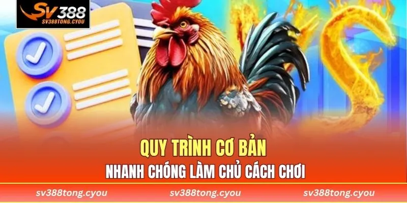 Quy trình cơ bản nhanh chóng làm chủ cách chơi
