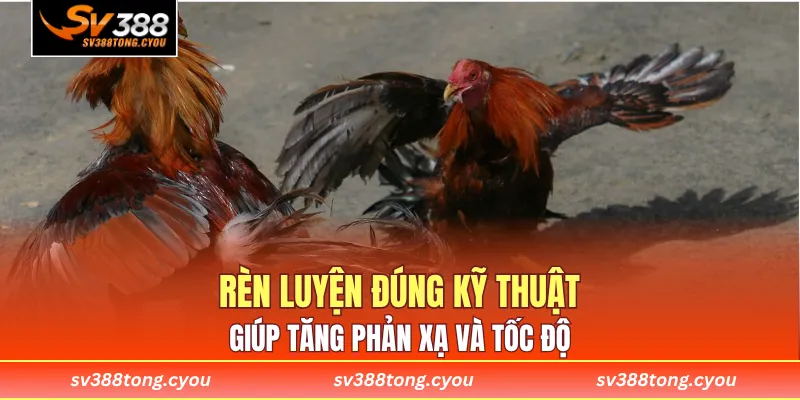 Rèn luyện đúng kỹ thuật giúp tăng phản xạ và tốc độ