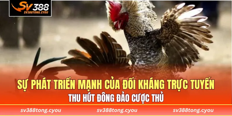 Sự phát triển mạnh của đối kháng trực tuyến thu hút đông đảo cược thủ