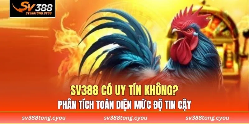 SV388 có uy tín không? Phân tích toàn diện mức độ tin cậy