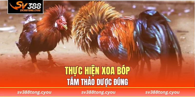 Thực hiện xoa bóp và tắm thảo dược đúng
