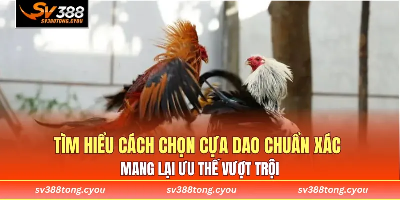 Tìm hiểu cách chọn cựa dao chuẩn xác mang lại ưu thế vượt trội