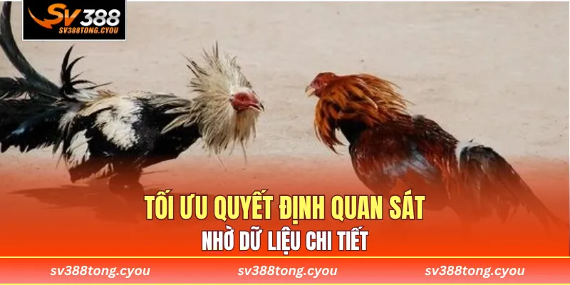 Tối ưu quyết định quan sát nhờ dữ liệu chi tiết