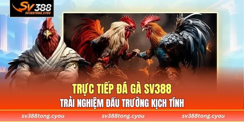Trực Tiếp Đá Gà SV388 – Trải Nghiệm Đấu Trường Kịch Tính