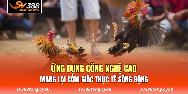 Ứng dụng công nghệ cao mang lại cảm giác thực tế sống động