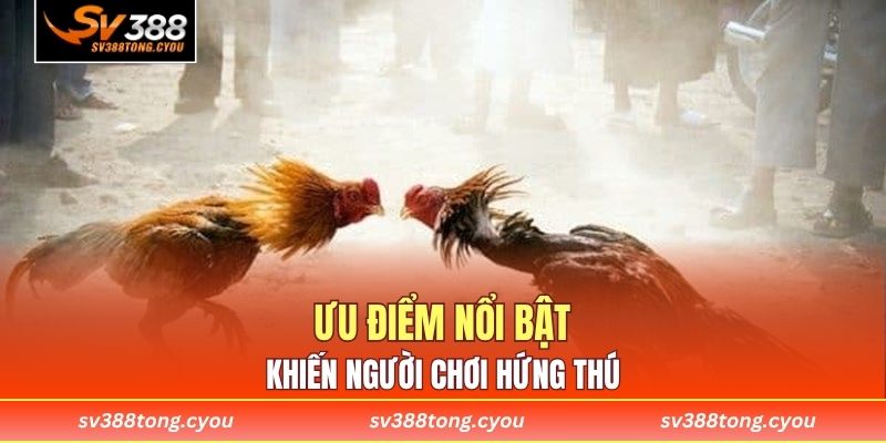 Ưu điểm nổi bật khiến người chơi hứng thú 
